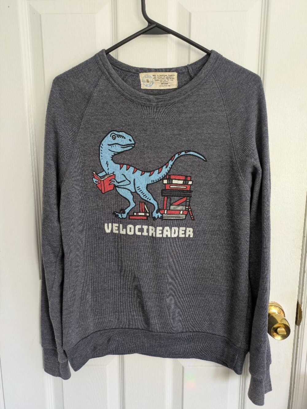 Out of Print Velocireader Cotton Sweatshirt Small Dinosaur Reading Books